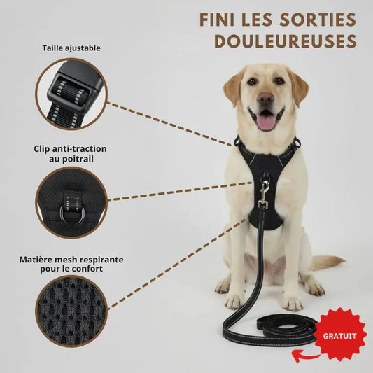 HARNAIS ANTI-TRACTION